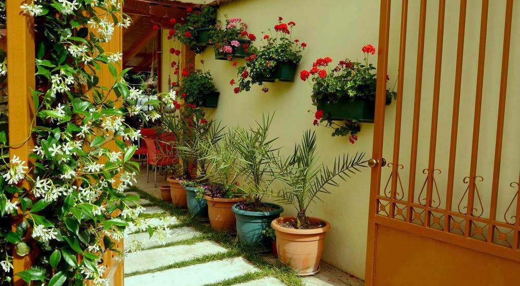 Kruja 3* Tirana